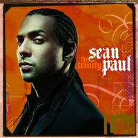 Sean Paul - Temperature artwork