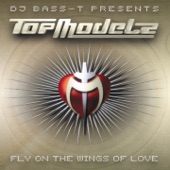 Fly On The Wings Of Love (Single Mix) artwork