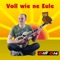 Voll wie ne Eule - Olli Olé lyrics