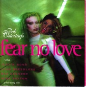 FEAR NO LOVE artwork