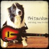 Old Dog, New Tricks