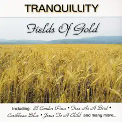 Fields of Gold by Paul Brooks album reviews, ratings, credits