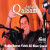 Sufiana Qalaam - Vol. 14 album lyrics, reviews, download