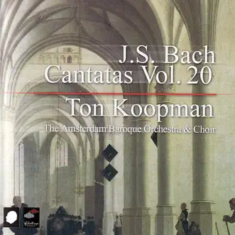 Bach: Cantatas Vol. 20 by Amsterdam Baroque Choir, Amsterdam Baroque Orchestra & Ton Koopman album reviews, ratings, credits