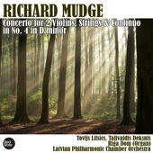 Concerto for 2 Violins, Strings & Continuo No. 4 in D minor: III. Largo artwork