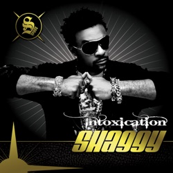 Shaggy - Reggae Vibes