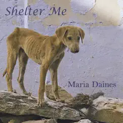 Shelter Me by Maria Daines album reviews, ratings, credits