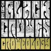 The Black Crowes - Soul Singing