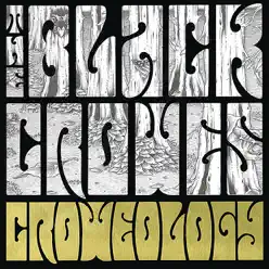 Croweology - The Black Crowes
