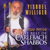 Menuchas Shabbos - The Rest of Carlebach Shabbos artwork