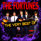 The Very Best Of - The Fortunes