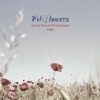 Wildflowers, 2004