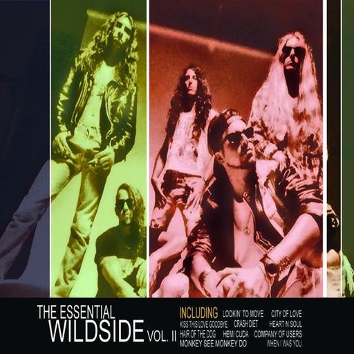 Artwork for Hair of The Dog