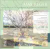 Reger: Sinfonietta, Op. 90, An die Hoffnung & Hymnus der Liebe album lyrics, reviews, download