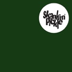 Skankin' Pickle - Make a Change