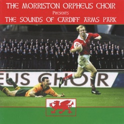 THE SOUND OF THE CARDIFF ARMS PARK cover art