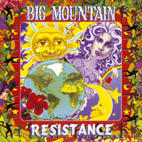 Big Mountain - Resistance artwork