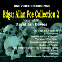 Edgar Allan Poe - The Edgar Allan Poe Collection II (Unabridged) artwork
