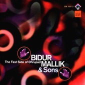 Bidur Mallik & Sons - Rag Ramkali