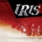 All I Wanted - Iris lyrics