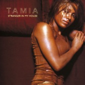 Tamia - Stranger In My House (Thunderpuss Radio Remix)