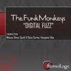 Digital Fuzz (Macca Remix) song lyrics
