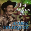 14 Éxitos de Anibal Velasquez