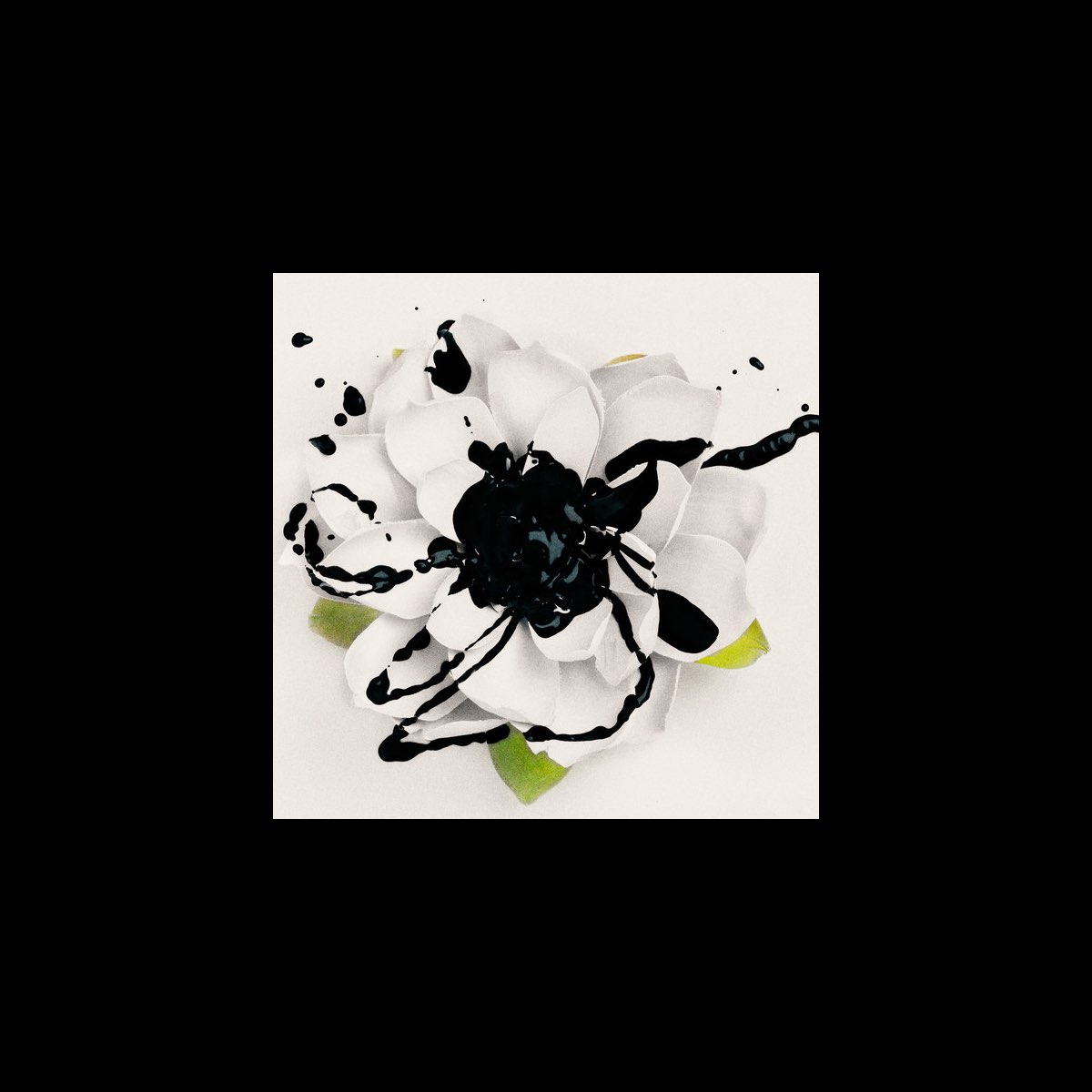  White Lotus By Eyes Set To Kill On Apple Music