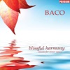 Blissful Harmony (Music for Inner Space)