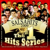 SalsaHits 2009 artwork