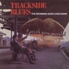 I Wish You Would (Trackside Blues)