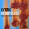 Filthy Beats (Cytric Original Mix) - Cytric lyrics