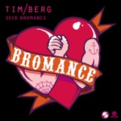 Seek Bromance (Avicii Vocal Edit) artwork