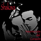 Shakava - The Space Between