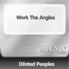 Work the Angles - Single, 1994