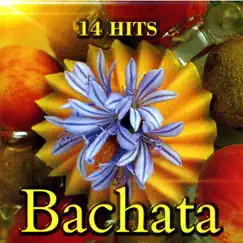 Bachata by Latin Sound album reviews, ratings, credits