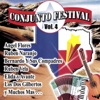 Conjunto Festival Vol. 4, 2010