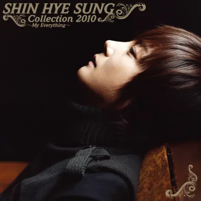 SHIN HYE SUNG Collection 2010 - Shin Hye Sung