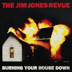 BURNING YOUR HOUSE DOWN cover art