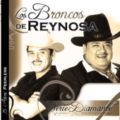 Los Broncos de Reynosa - Cerro la Silla (El cerro de la silla)