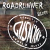 Roadrunner Blues