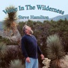 Steve Hamilton - Young Man Blues