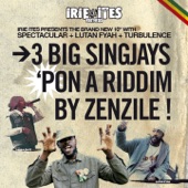 Split: 3 Big Singers 'Pon a Riddim By Zenzile / 3 Big Singjays 'Pon a Riddim By Zenzile (Irie Ites Presents) artwork