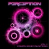 Perception Volume 4 - Compiled By Injection, 2012