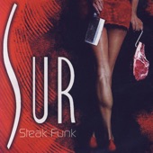 Sur -Steak Funk - Playa del Carmen artwork