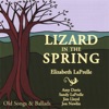 Lizard In the Spring