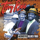 Terry Robb Acoustic Trio - Chump Man Blues