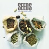 Seeds, 2008