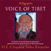 Voice of Tibet artwork