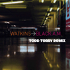 Black AM (Todd Terry Vox Mix) [Tee's Frozen Sun Mix] - Watkins